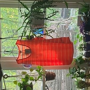 LuLaRoe Striped Tank Top XL